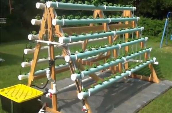 How To Grow 168 Plants In A 6 X 10 Space With A DIY A ...