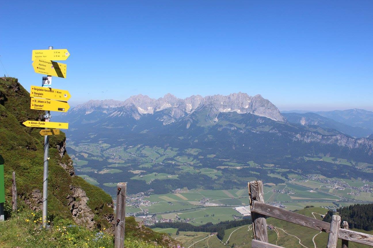 a visit to the alpine flower garden on the kitzbüheler horn