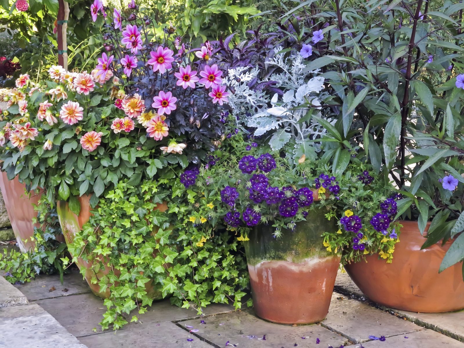 container garden placement - learn how to plant a container garden