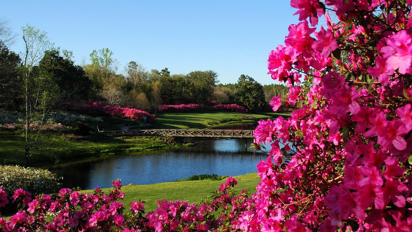 bellingrath gardens - dauphin island rentals