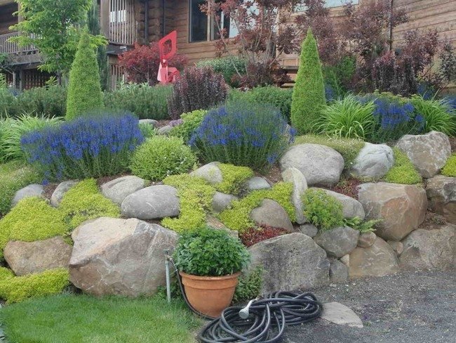 Rock Garden Inspiration Ideas - Decor Around The World