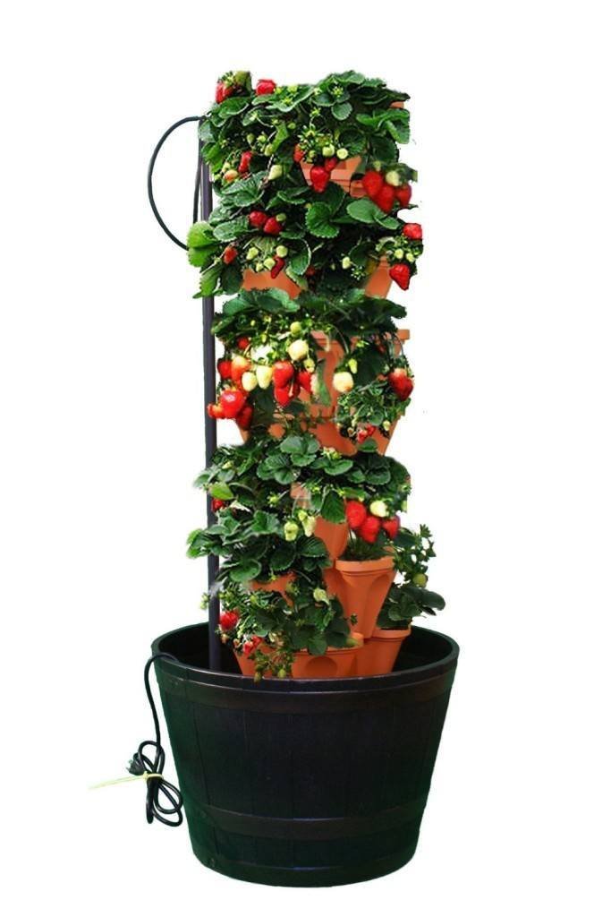 Best Hydroponic Systems for Getting Started with Indoor ...