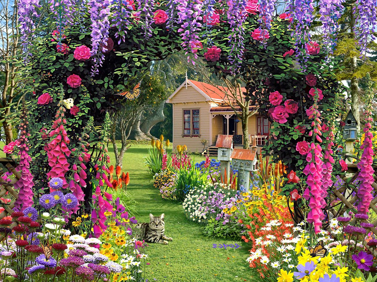 beautiful, flower, garden, wallpaper, hd free photos, cool, home