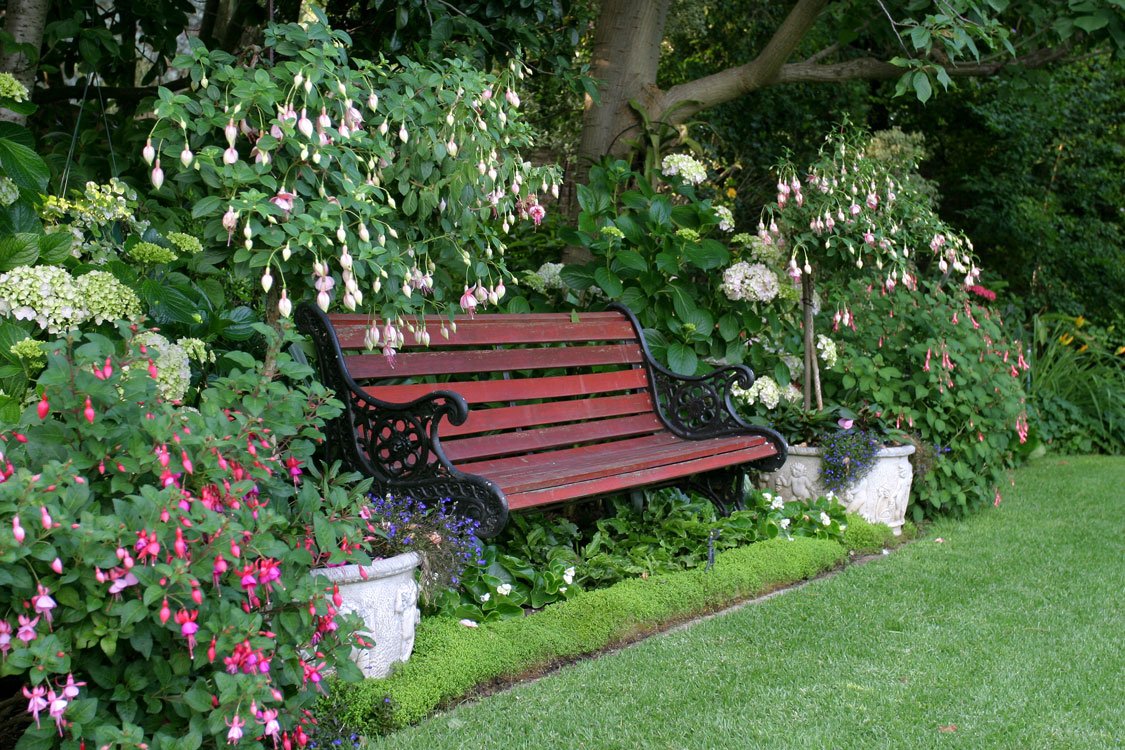 7 garden quick fixes | sa garden and home