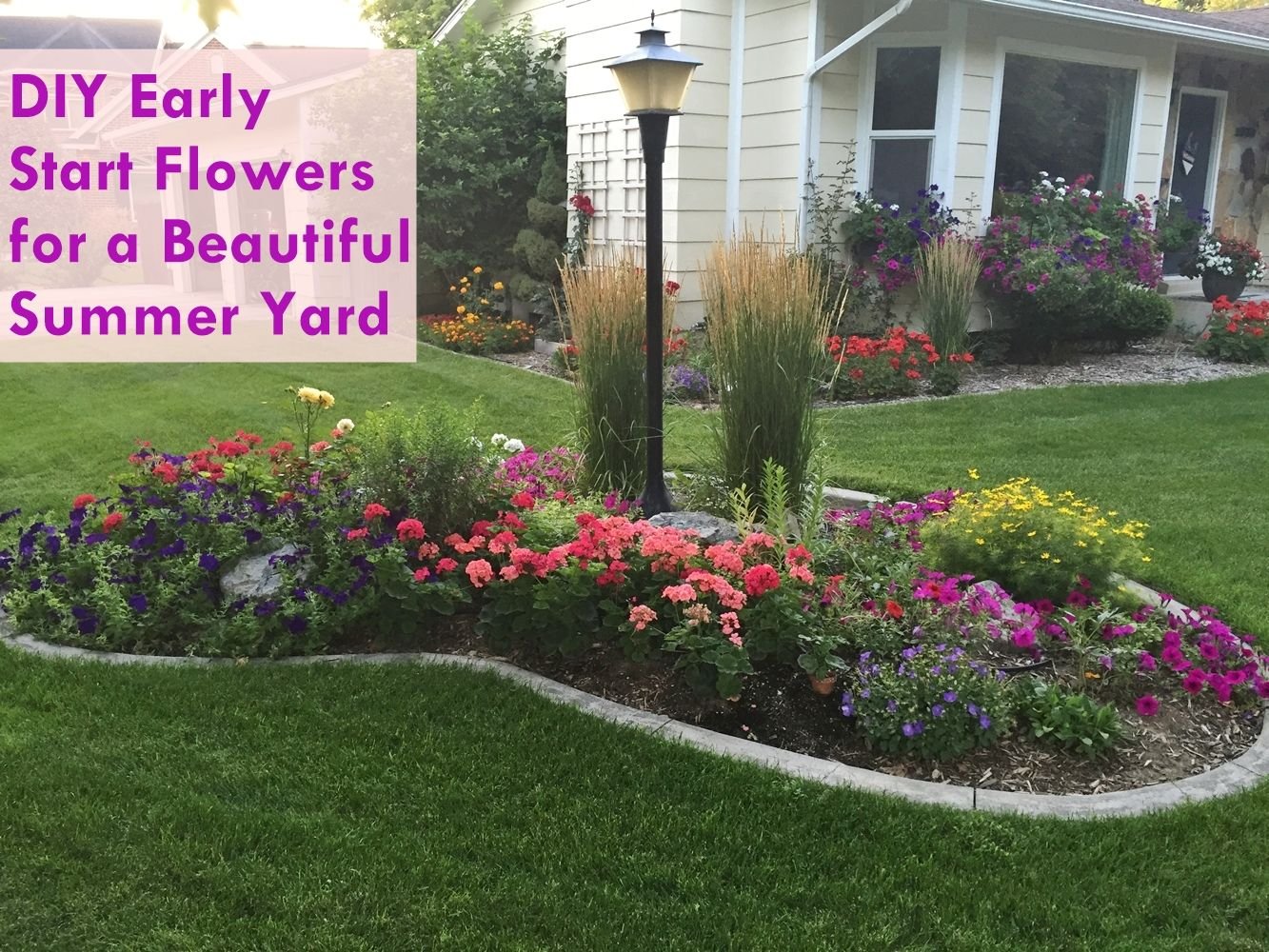 diy early start flowers for flower boxes