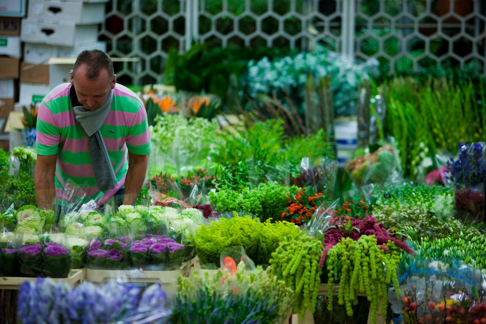 new covent garden flower market cf - the english garden