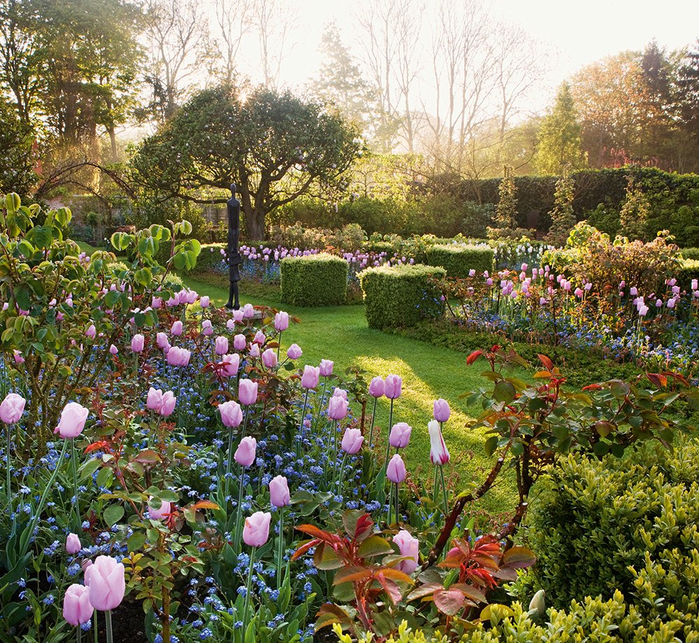 pashley manor garden east sussex spring : the box garden planted