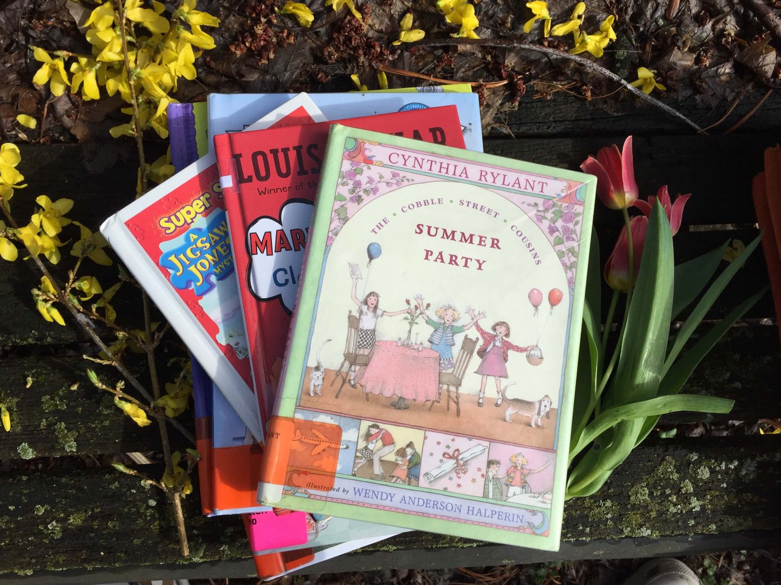 category: early chapter books - red canoe reader