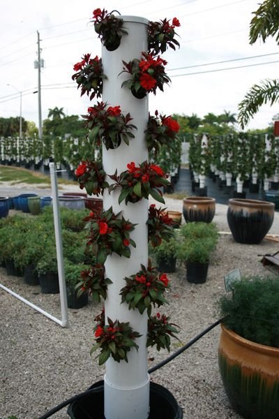 Vertical Garden Ideas That Will Spice Up Your Garden