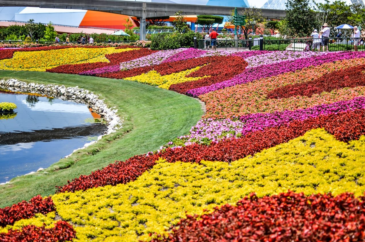 why you shouldn't overlook epcot flower and garden festival