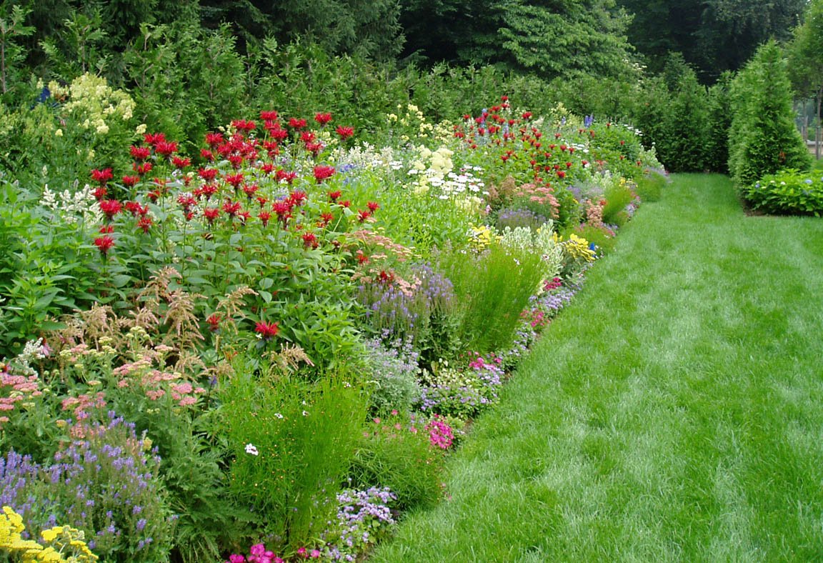 best perennial garden design perennial garden design you can adopt