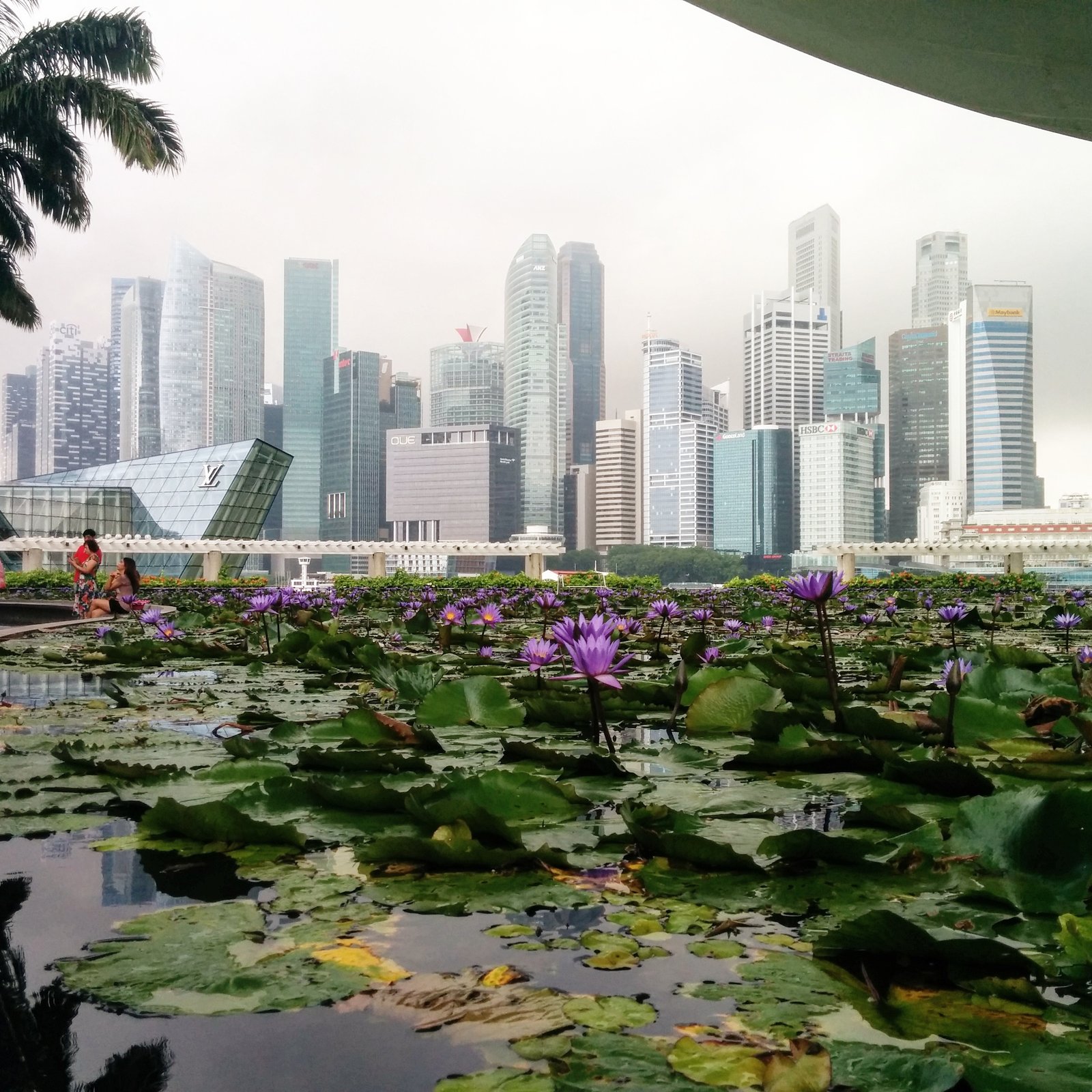 singapur – six umbrellas