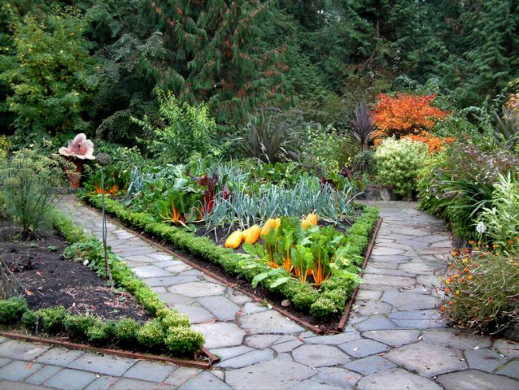 small vegetable garden ideas you can adopt garden ideas container