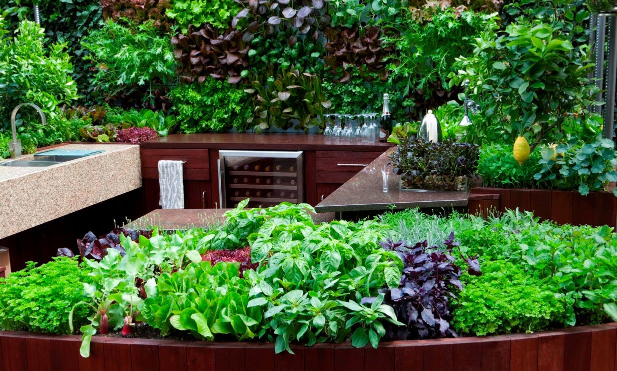 rhs chelsea flower show 2009 show garden – 'freshly prepped