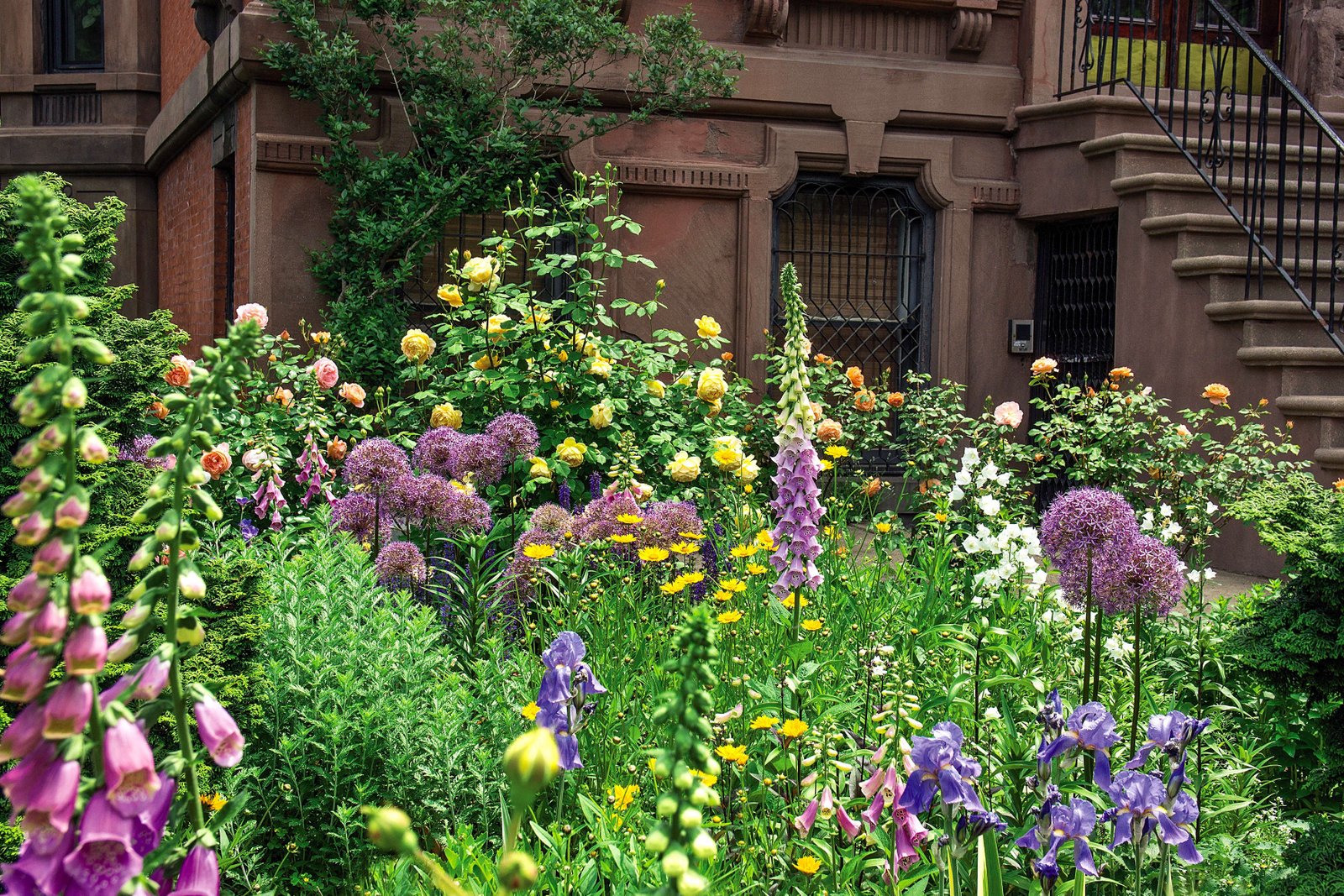 required reading: sidewalk gardens of new york - gardenista