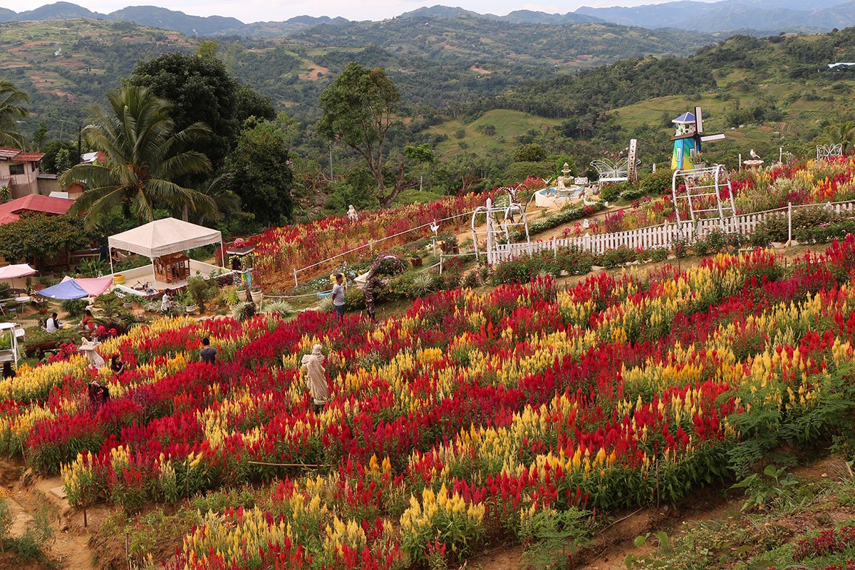cebu city sirao tour - flower garden tour | cebu city tour