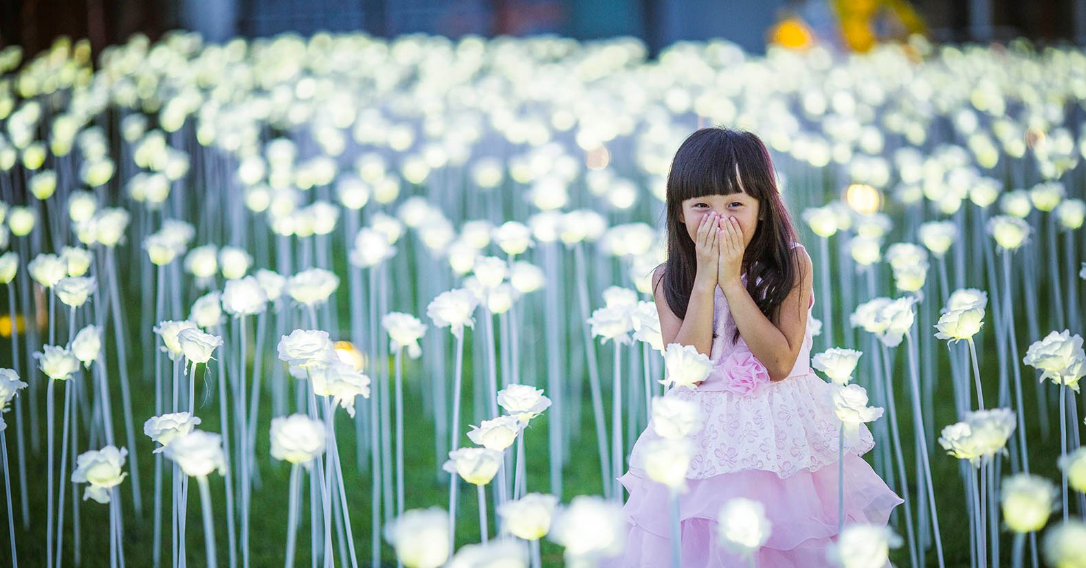 a rooftop garden of 25,000 led flowers in china -