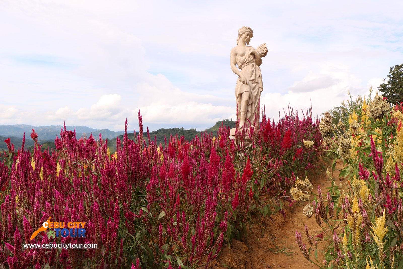 cebu sirao flower farm | cebu city tour