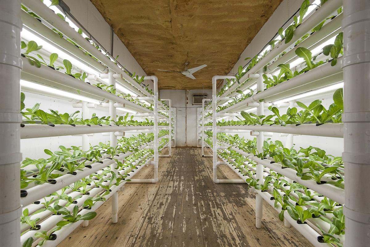 can a used 20-foot shipping container be used to grow food?