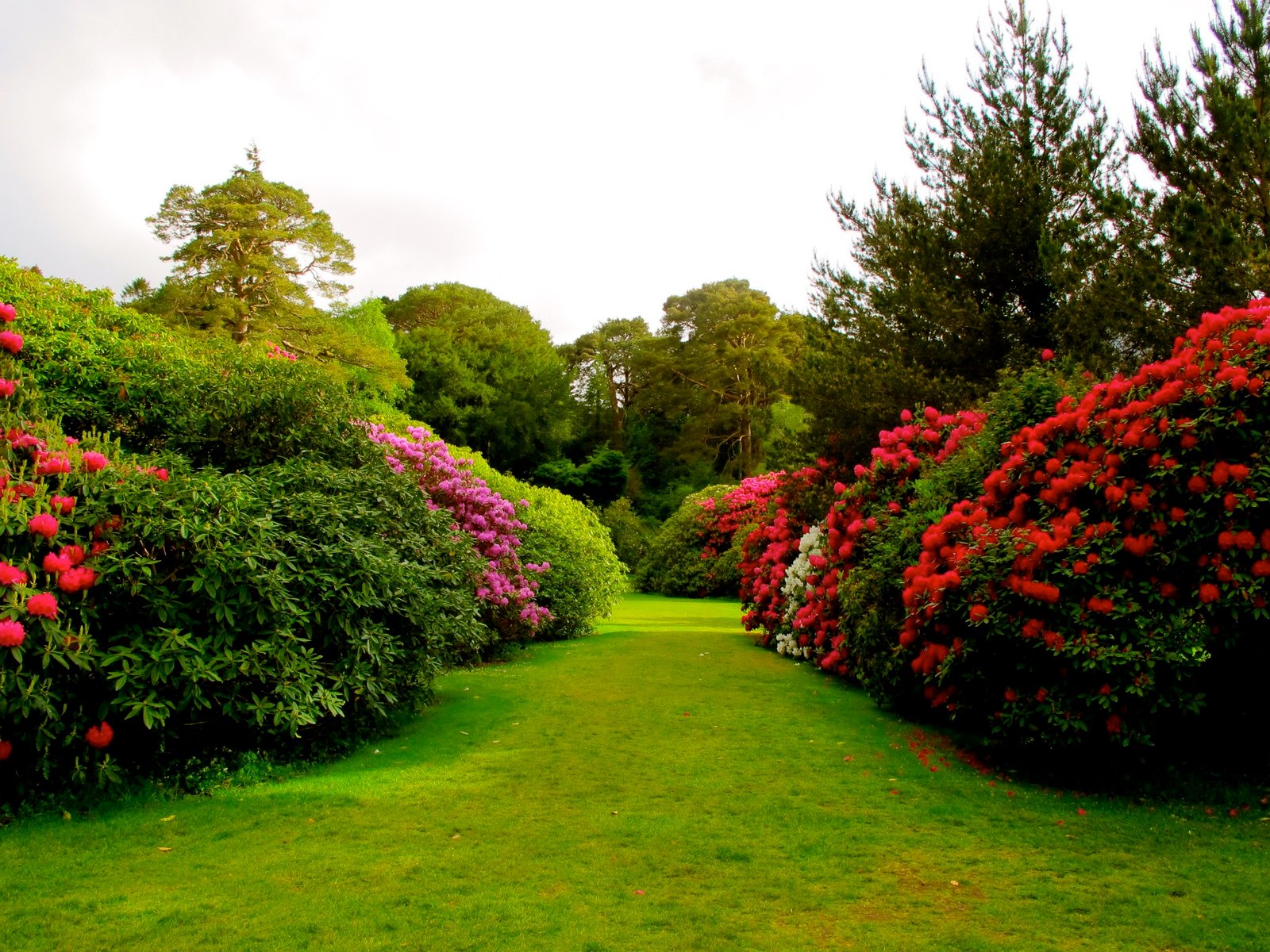 garden wallpapers hd | pixelstalk