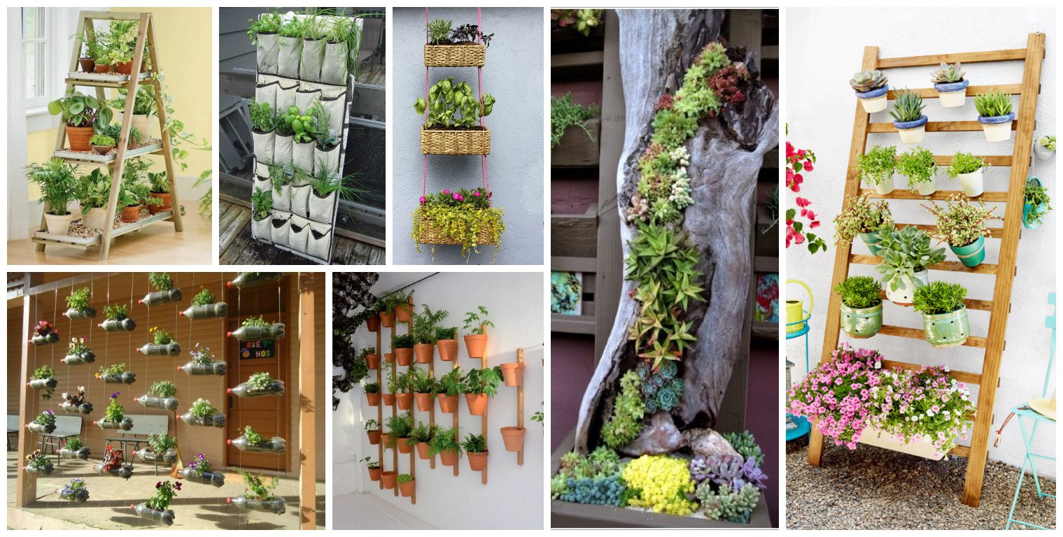 here's how to save time and space by vertical gardening at home!