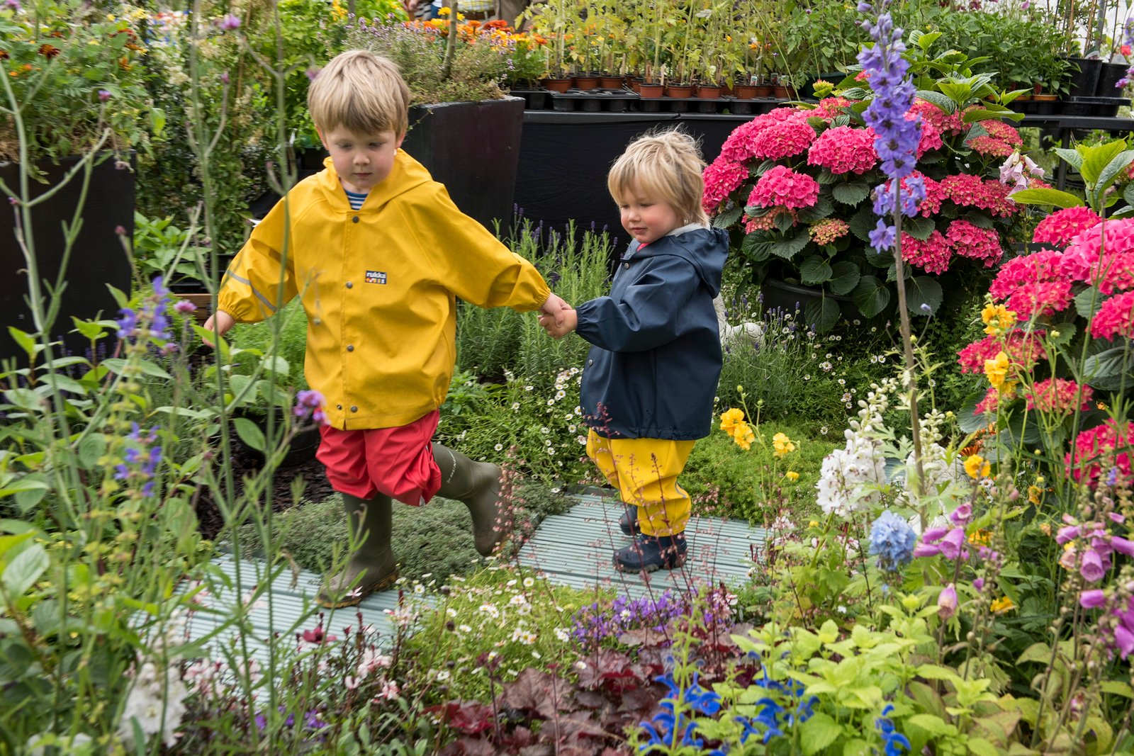 tickets - the national flower show
