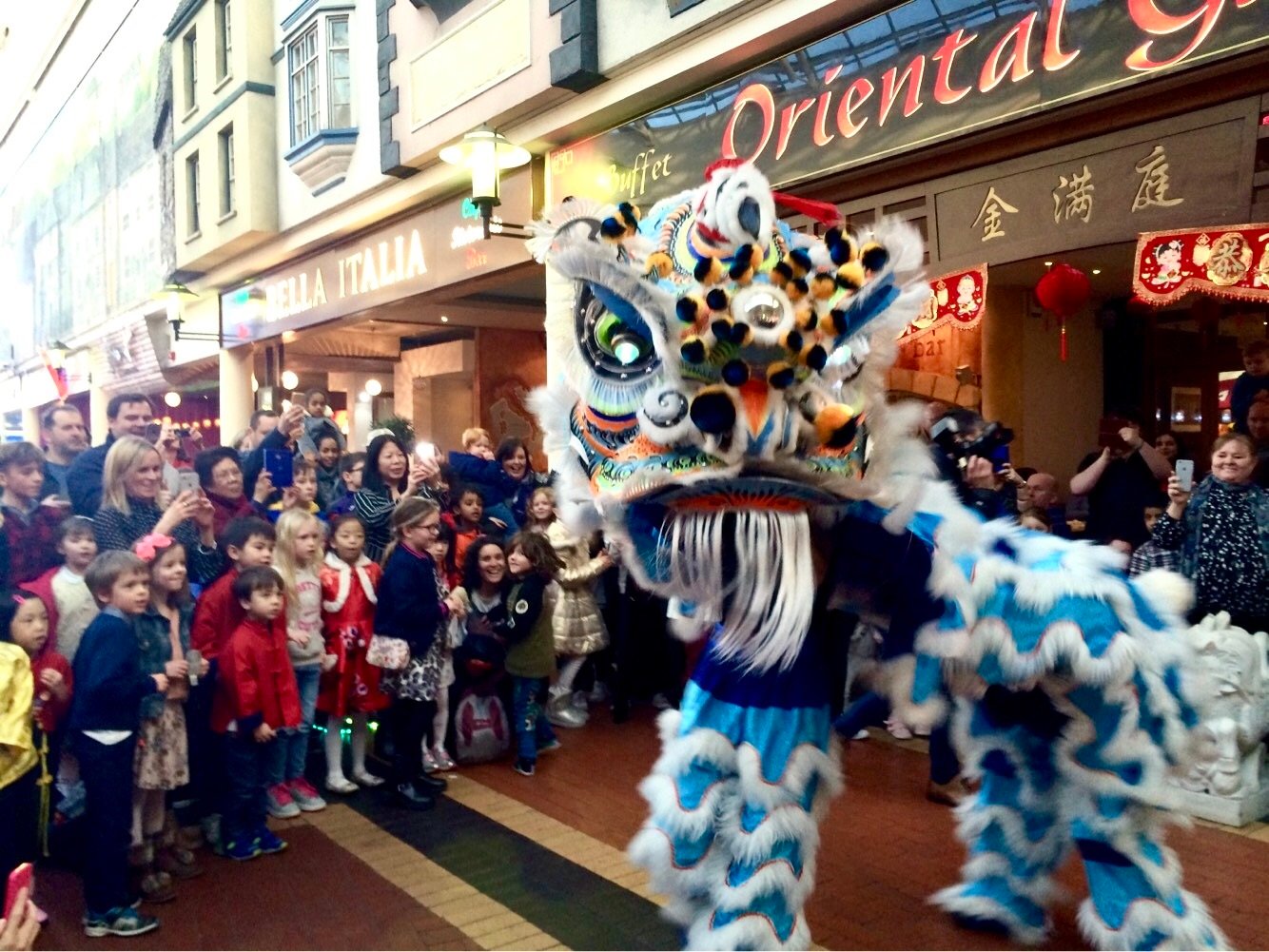 celebrating chinese new year at oriental garden, the red
