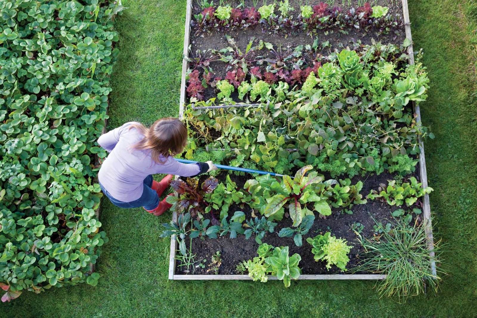 garden tips for beginners - u can breathe