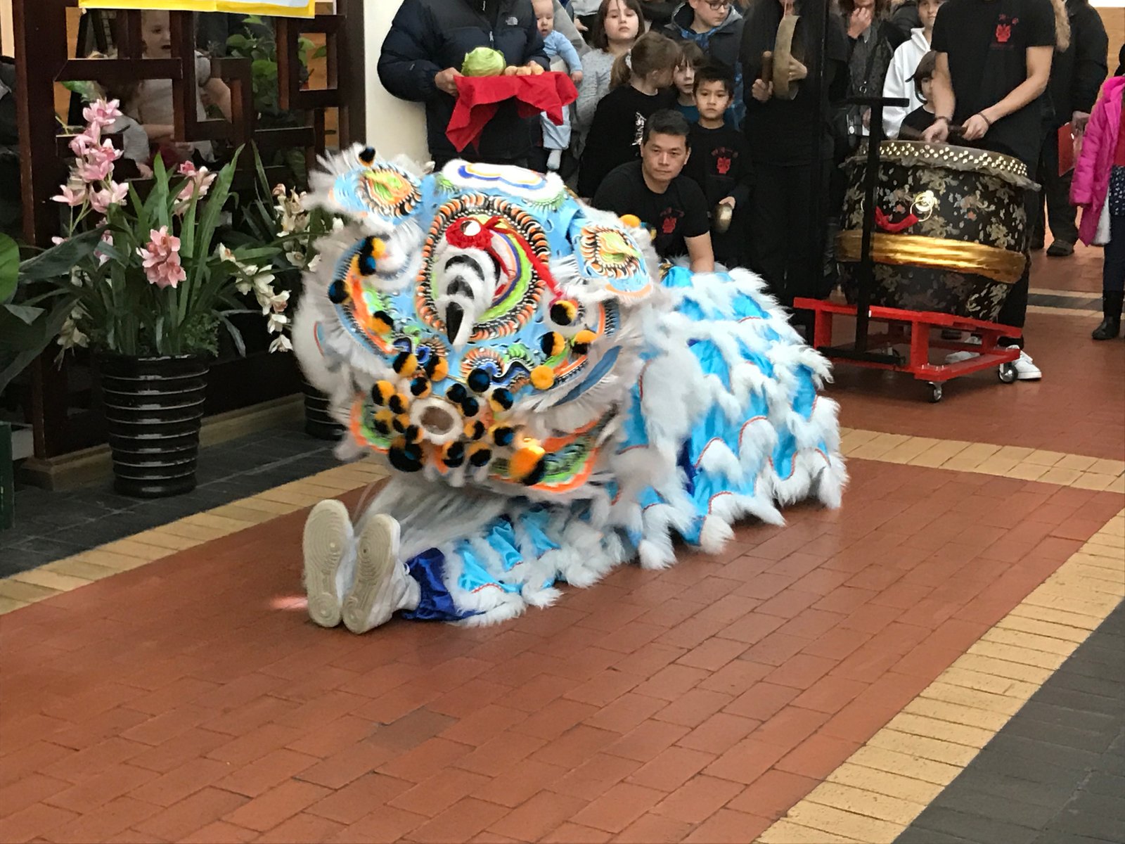 oriental garden 7 - cardiff mummy sayscardiff mummy says