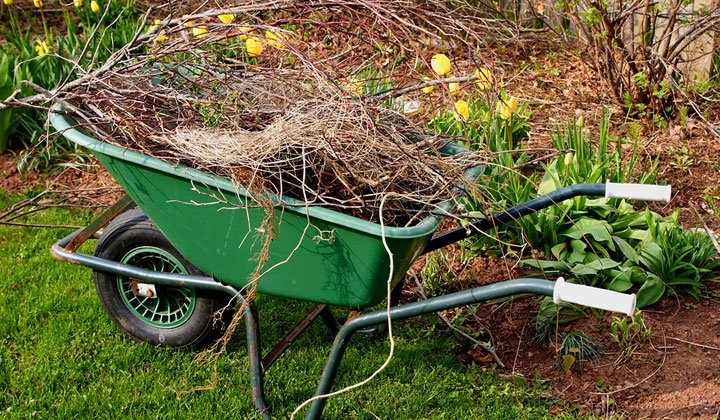 sharpened mower blades, a spring cleanup, fertilizer, and