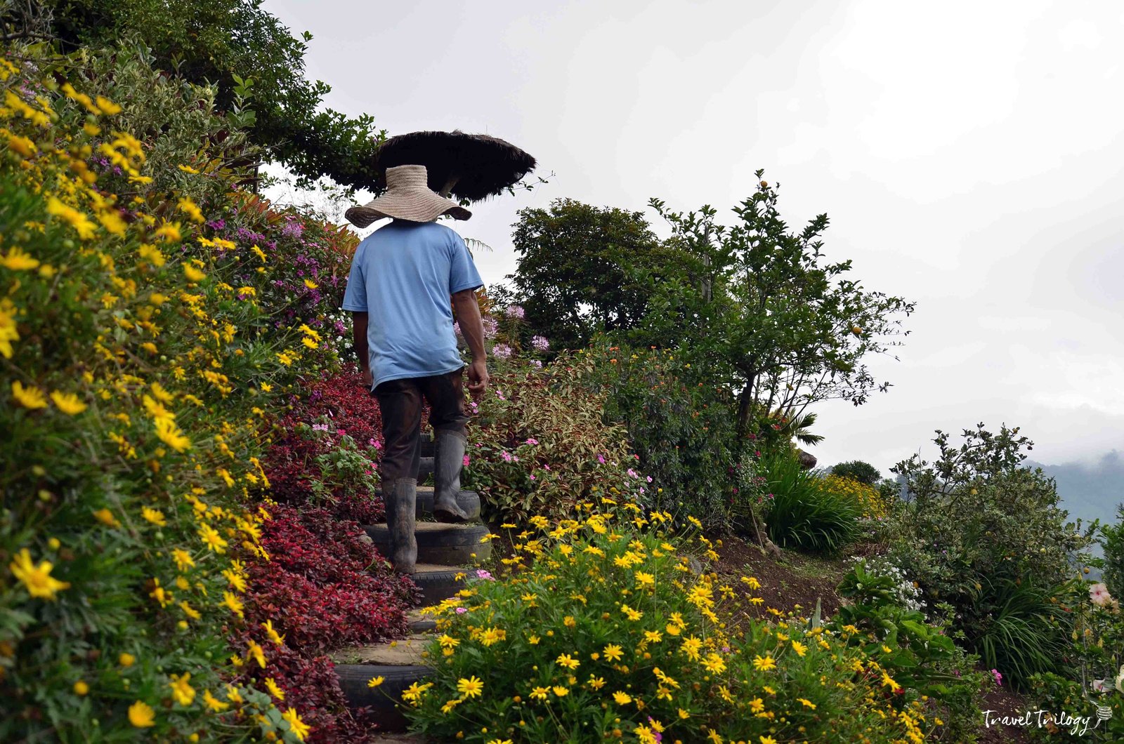 panagbenga festival | the hands behind the blooms - travel trilogy