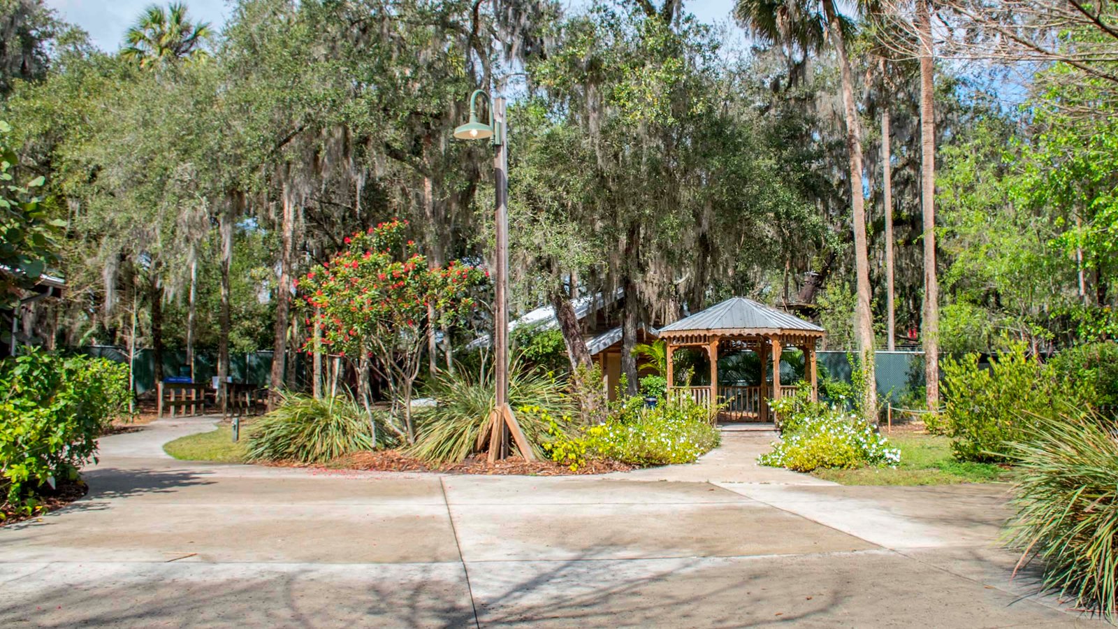 best places to take photographs near orlando – central florida zoo