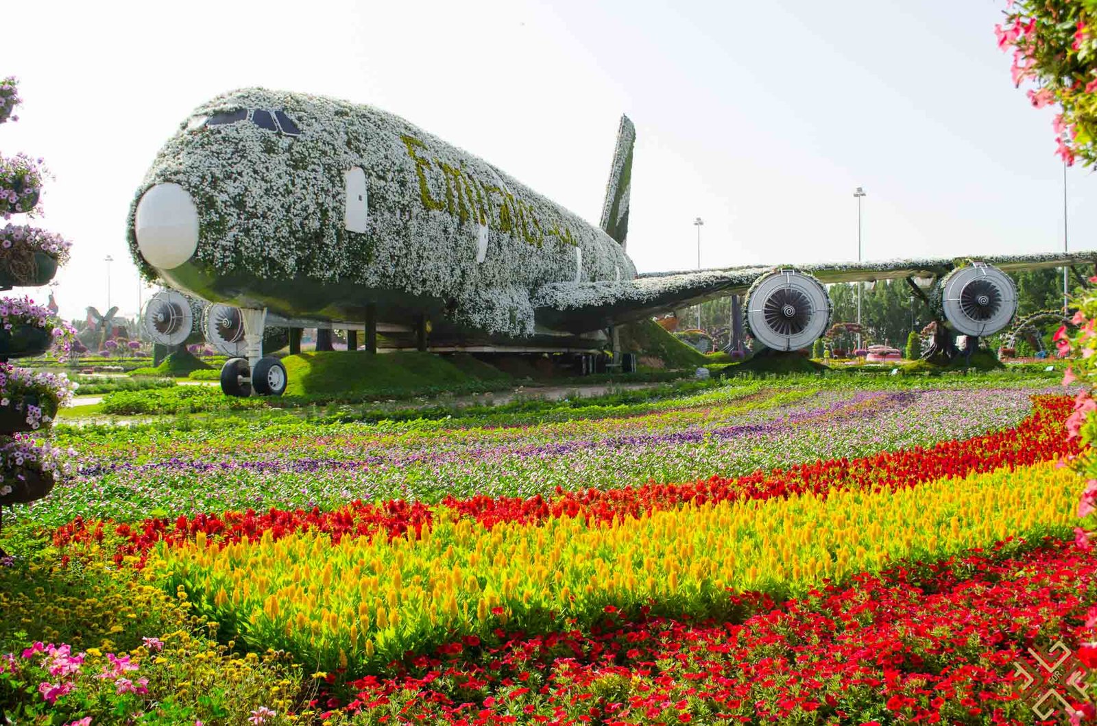 dubai miracle garden: a flower paradise - passion for dubai