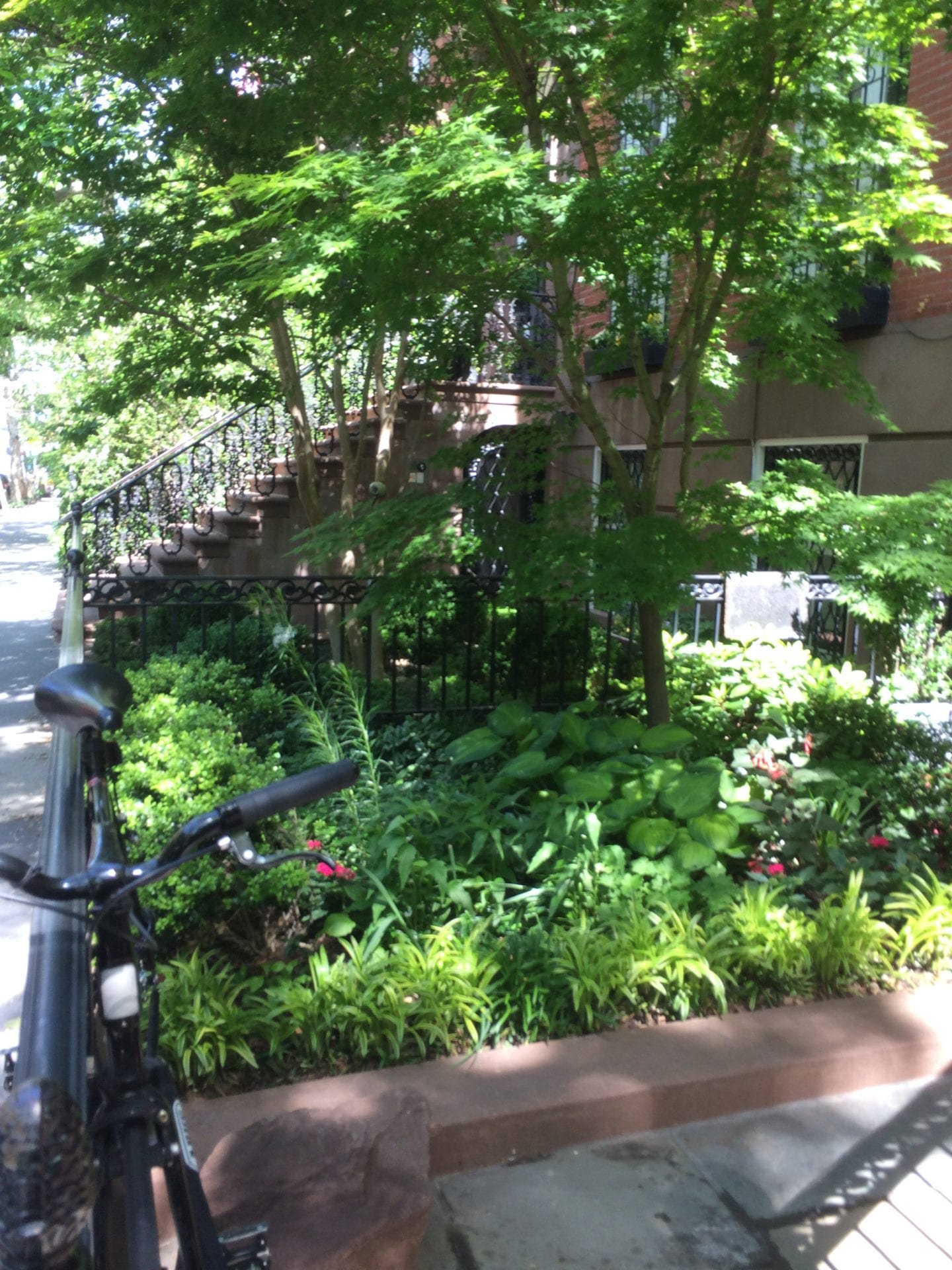 we're in a tight spot — landscape design for small urban spaces