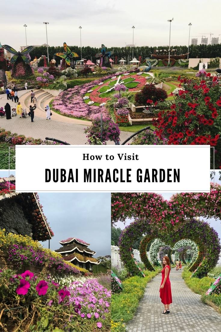 dubai miracle garden: must-visit place in dubai | anna everywhere