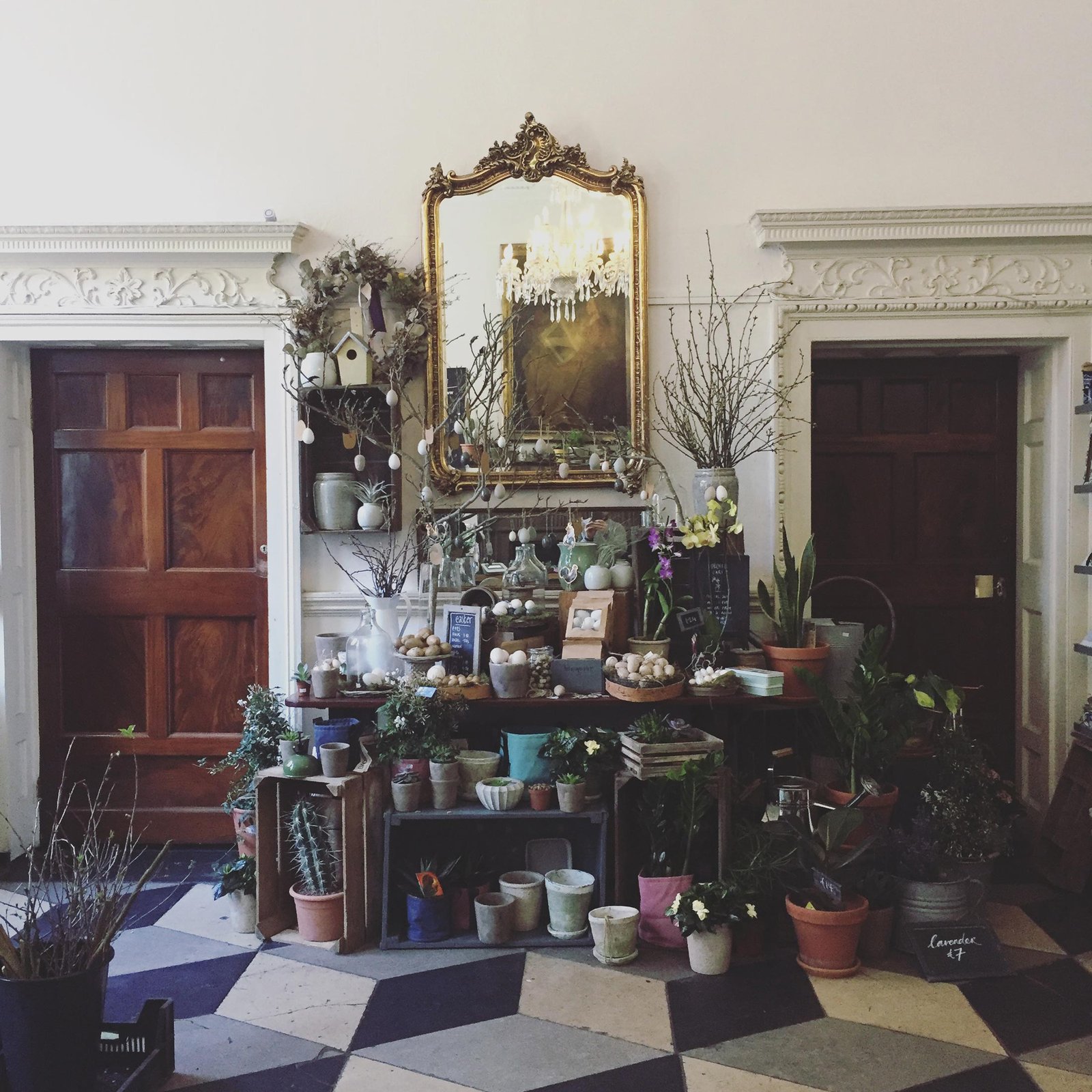 home - the garden