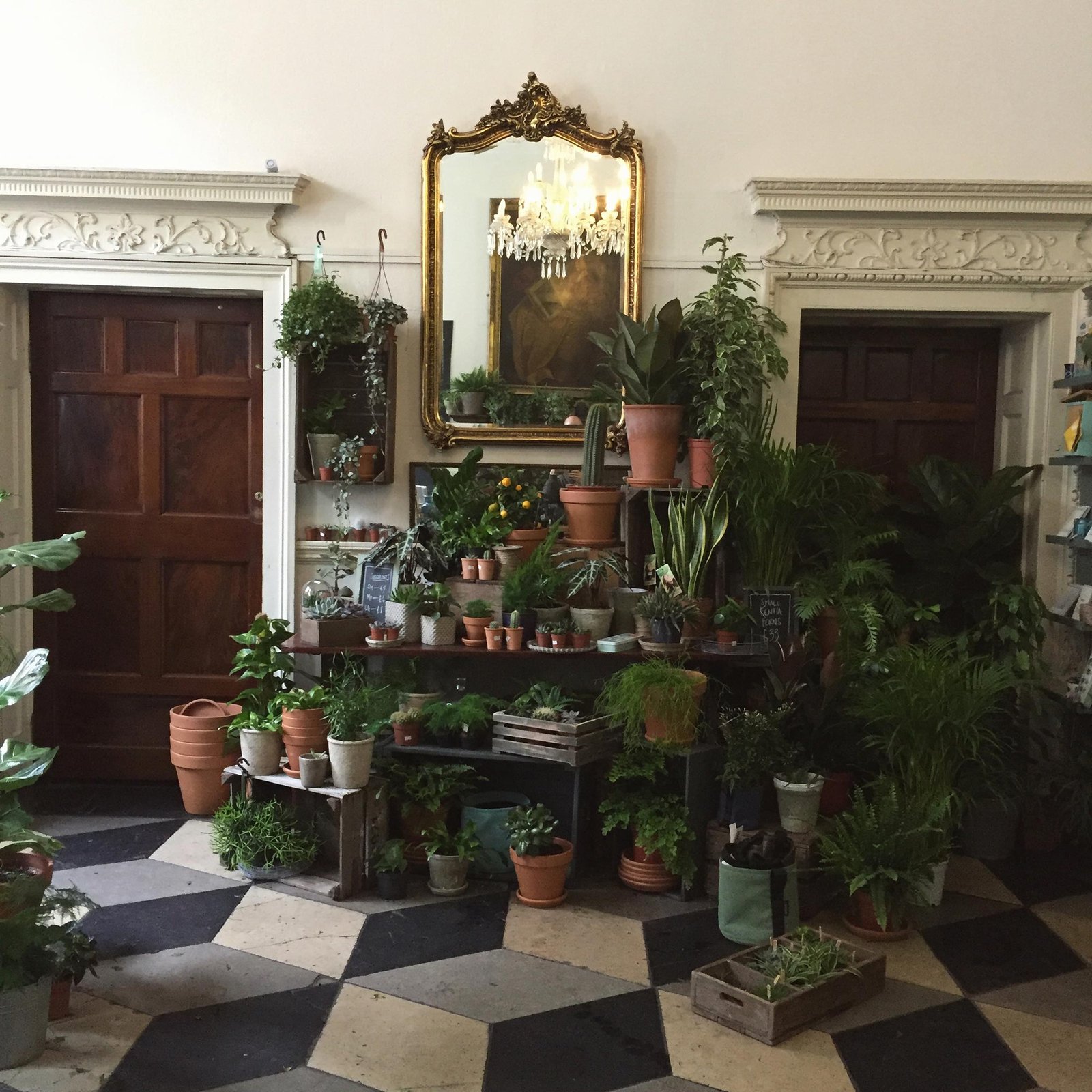 home - the garden