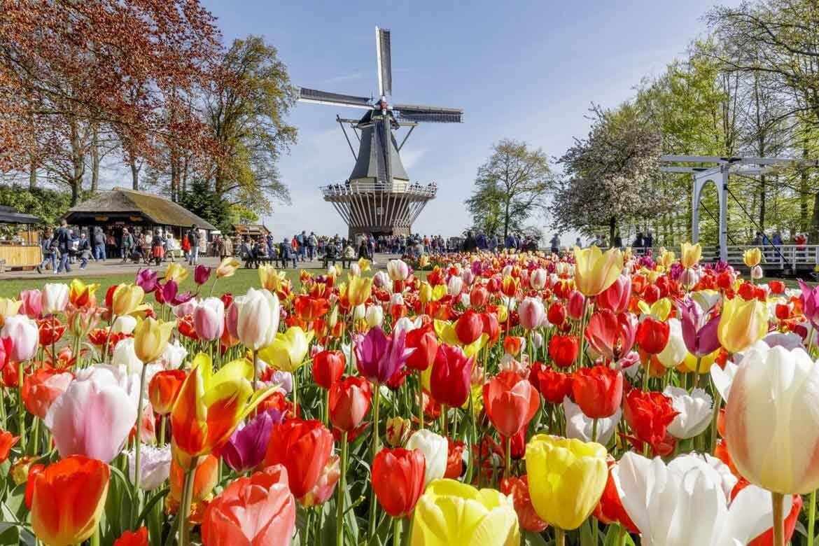 keukenhof: holland's tulip garden | garden destinations magazine