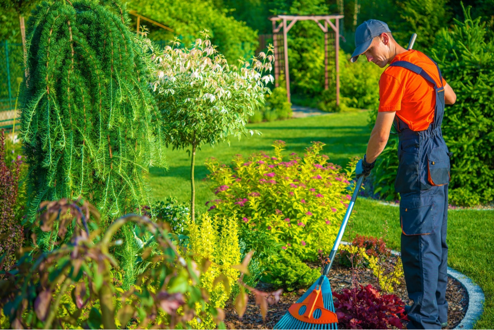 spring clean your home the cheap way! - better housekeeper