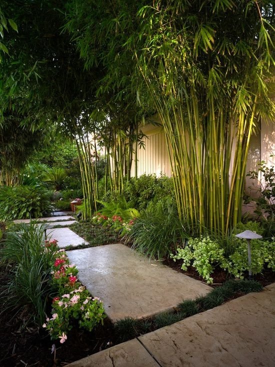 25+ Best Ideas About Asian Garden On Pinterest | Japanese Gardens inside Inspiration For Creating Small Backyard Landscaping Ideas
