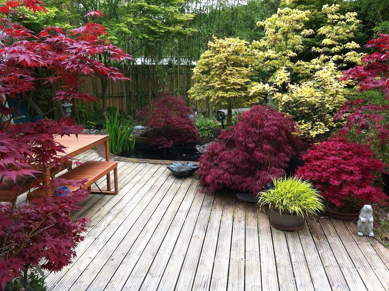 25+ Best Ideas About Small Japanese Garden On Pinterest | Japanese in Japanese Garden Design