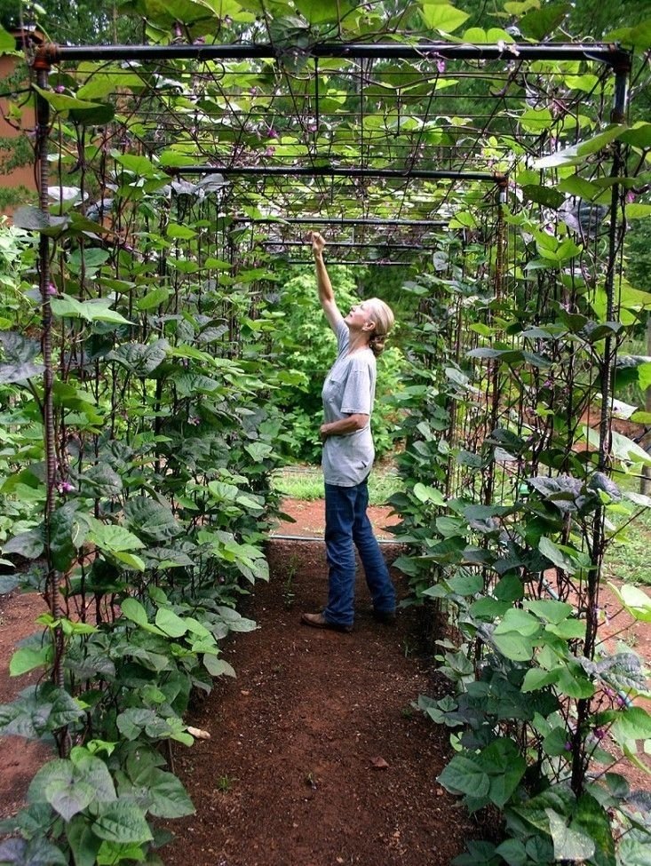 25+ Best Ideas About Vegetable Garden Design On Pinterest | Raised inside Vegetable Garden Design