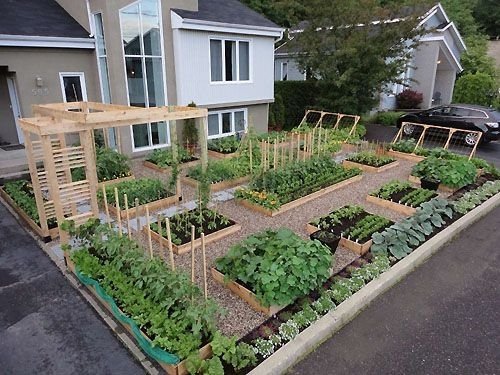 25+ Best Ideas About Vegetable Garden Design On Pinterest | Raised inside Vegetable Garden Design