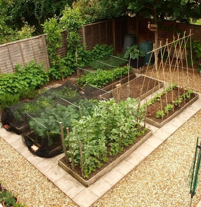 25+ Best Ideas About Vegetable Garden Layouts On Pinterest with regard to Vegetable Garden Design