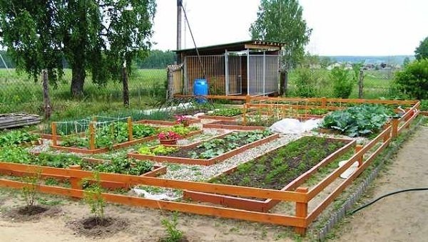 40 Vegetable Garden Design Ideas - What You Need To Know? inside Vegetable Garden Design