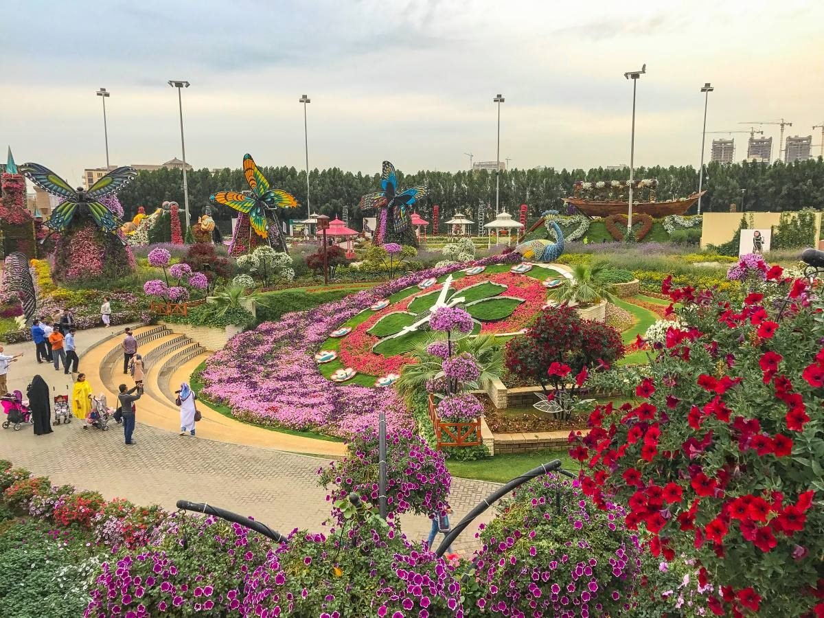 dubai miracle garden: must-visit place in dubai | anna everywhere