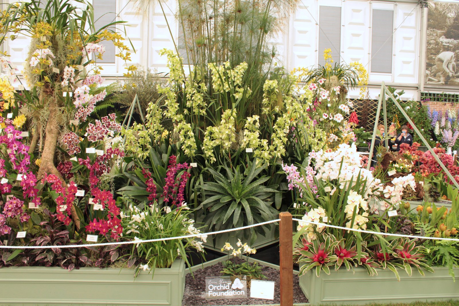 it's gold for the foundation at the chelsea flower show | eric young