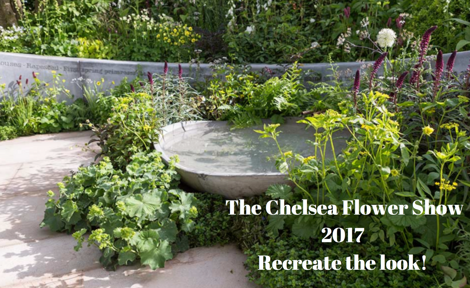 chelsea flower show 2017 - how to recreate 3 of the best gardens! -