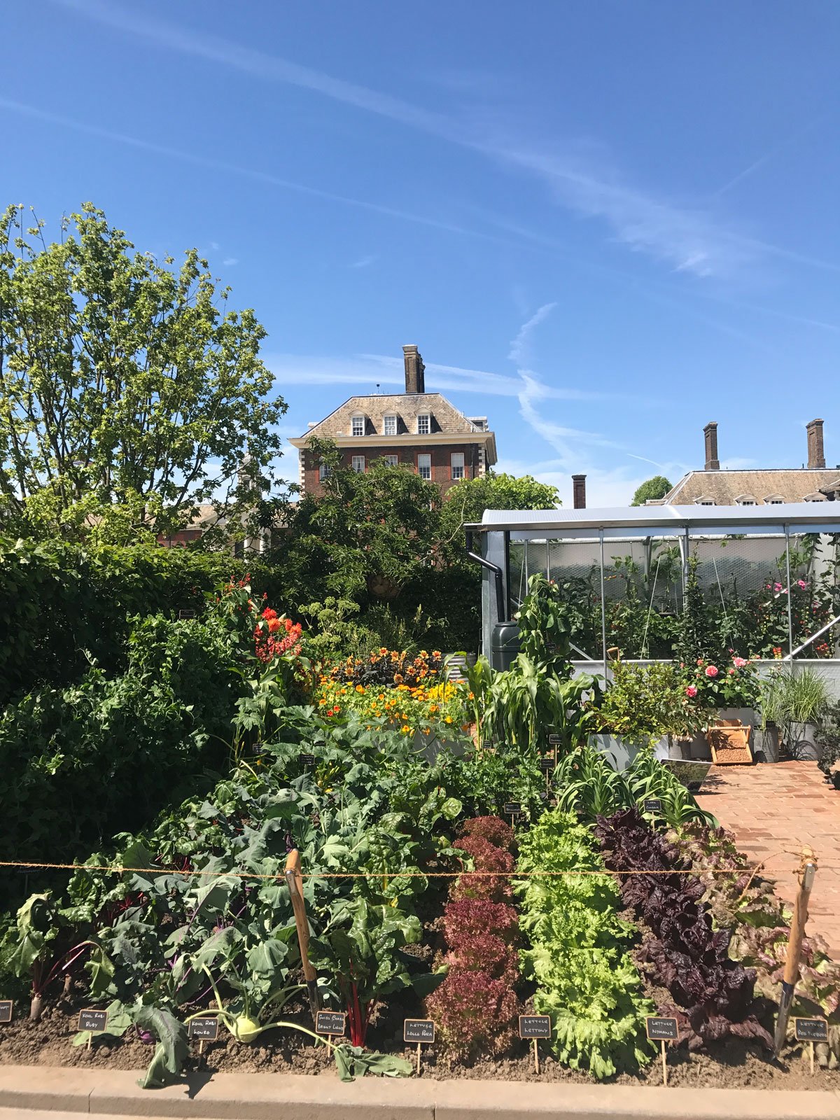 rhs chelsea flower show – sophie robinson
