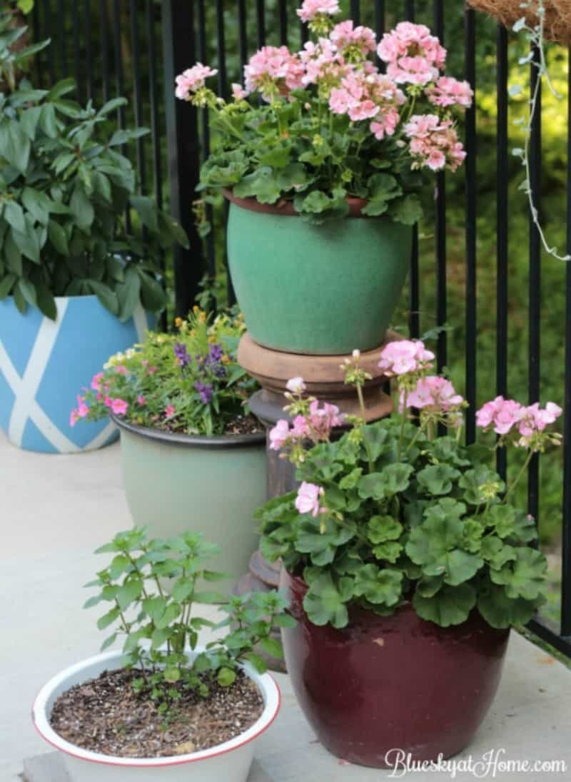 how to grow a beautiful garden in a small space ~ bluesky at home